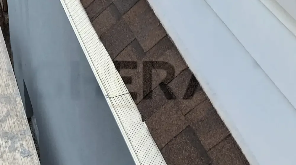 Leaf Guard project 1