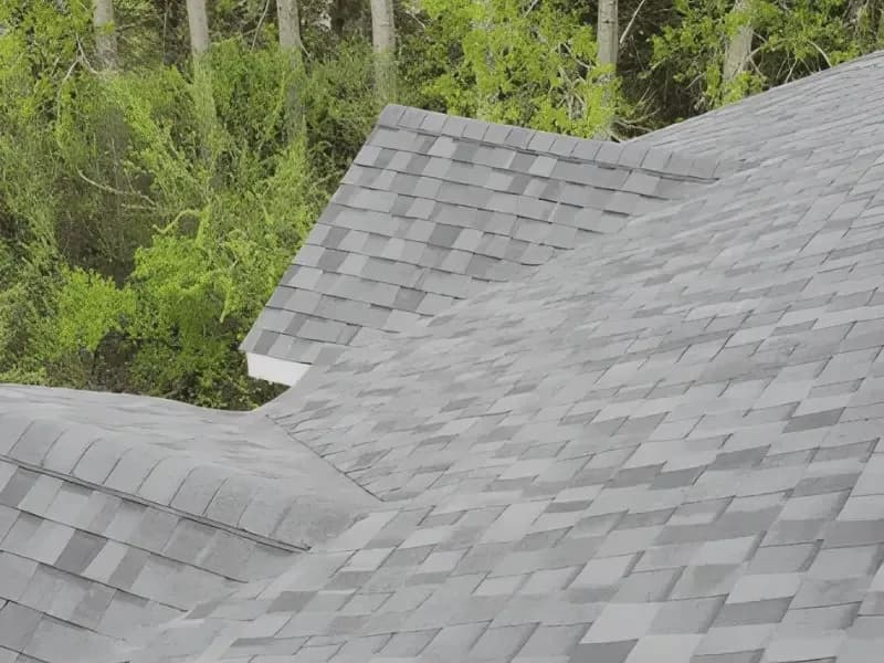 Shingle Roof