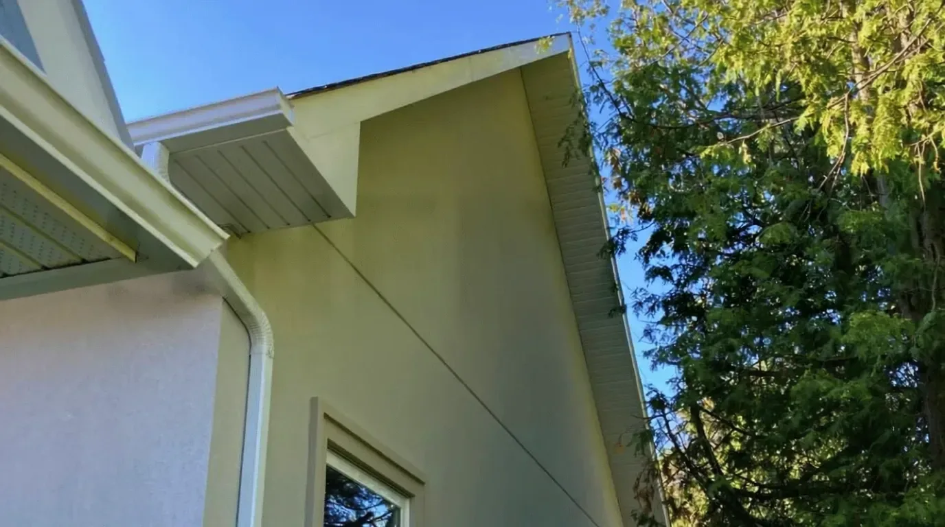 Kellena Dr Project photo 4