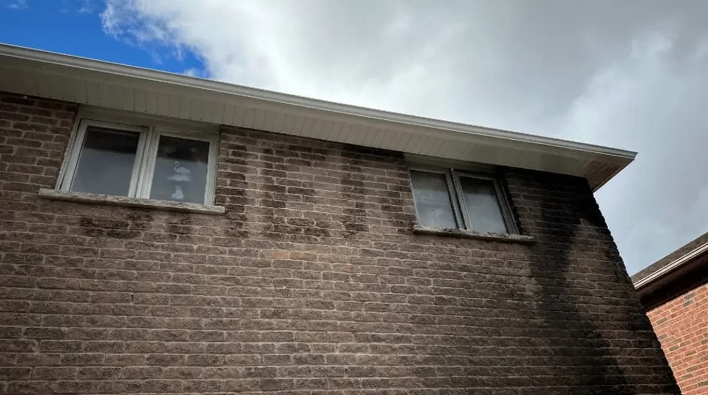 Lamont Project photo 2