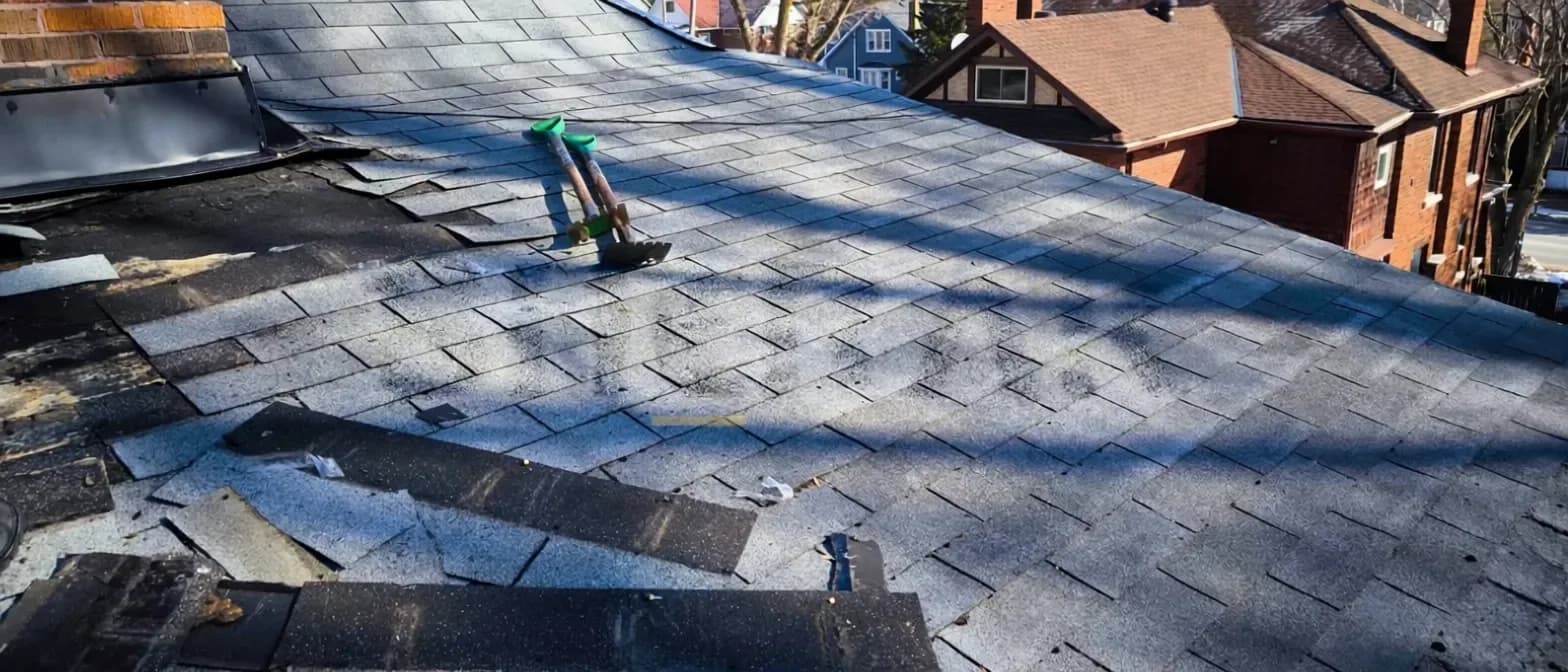 Brant St Shingle Roof Replacement photo 1