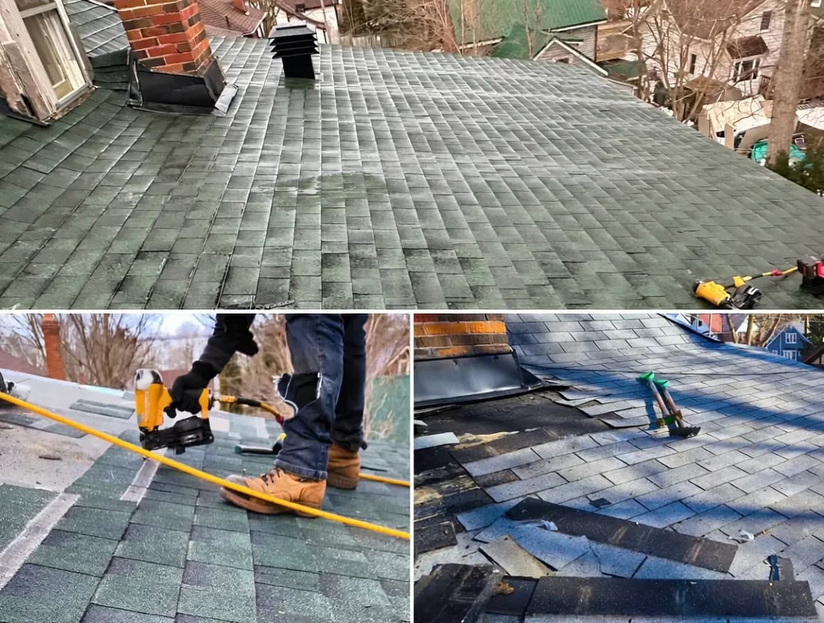 Brant St Shingle Roof Replacement photo 3