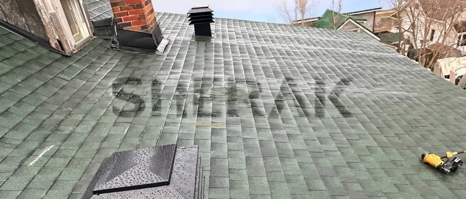 Brant St Shingle Roof Replacement photo 6