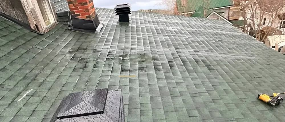Shingle Roof project 4